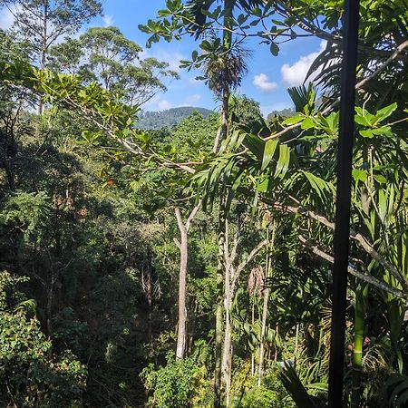 Ella Jungle Inn Homestay And Tree House Экстерьер фото