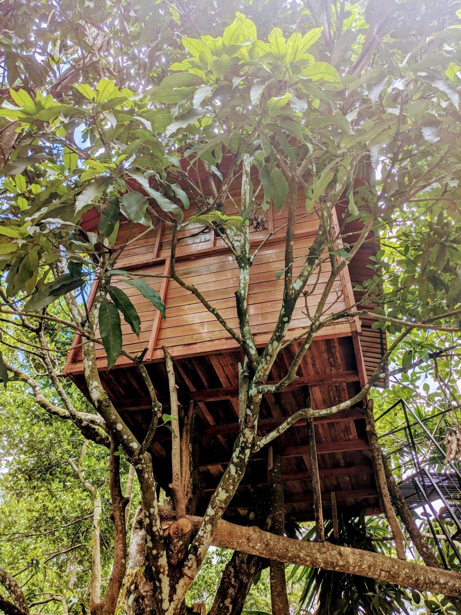 Ella Jungle Inn Homestay And Tree House Экстерьер фото