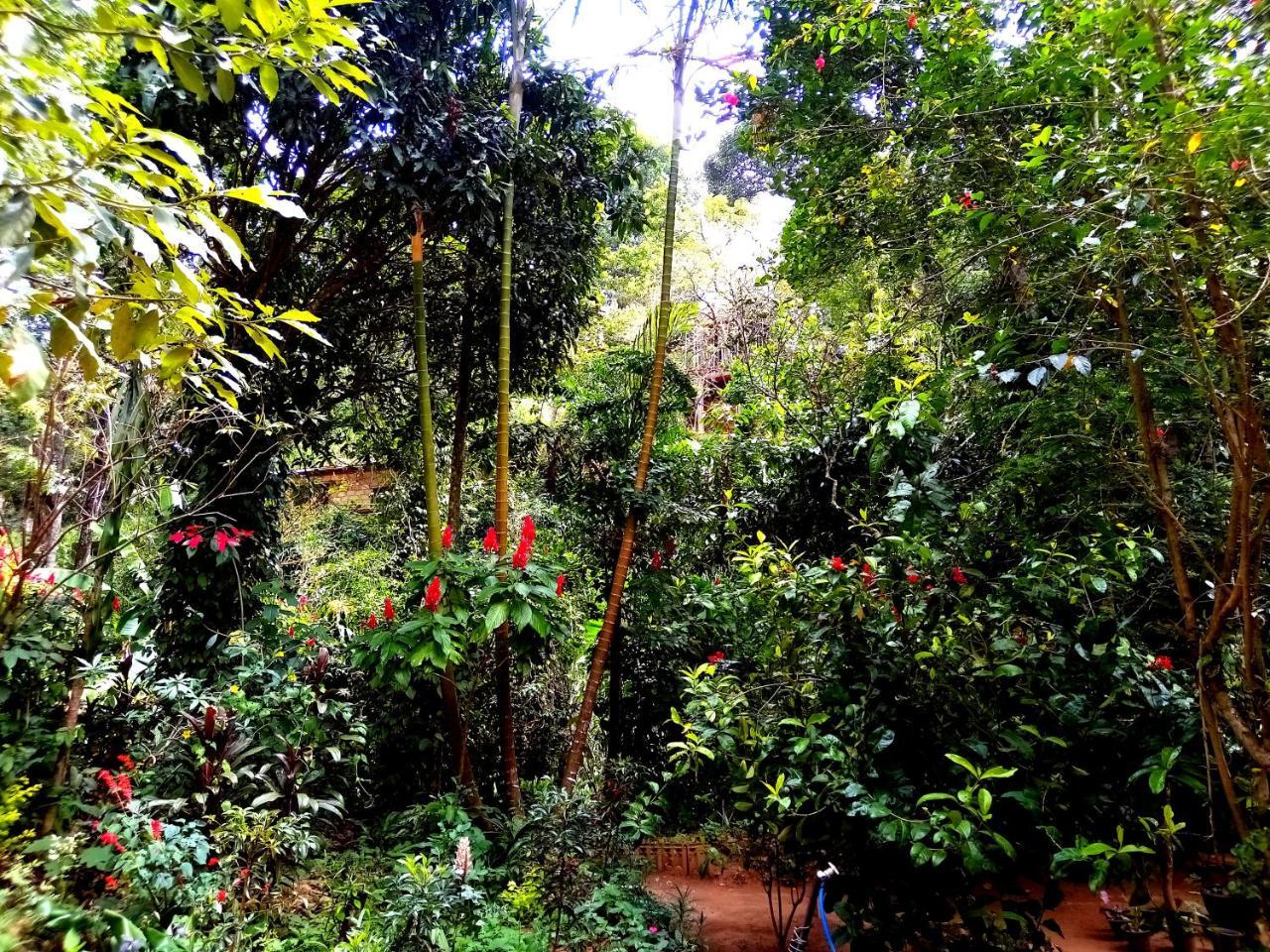Ella Jungle Inn Homestay And Tree House Экстерьер фото