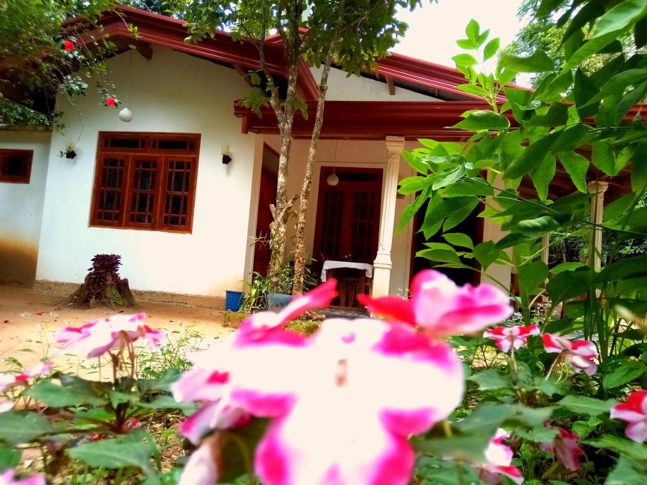 Ella Jungle Inn Homestay And Tree House Экстерьер фото