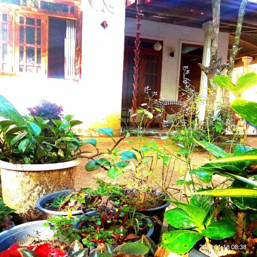Ella Jungle Inn Homestay And Tree House Экстерьер фото